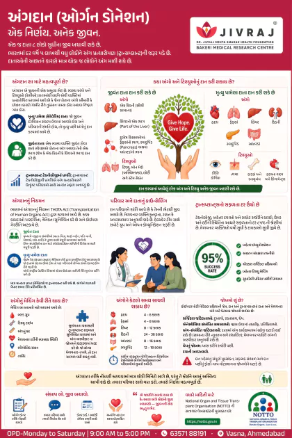 COVID-19 Precautions Gujarati poster preview