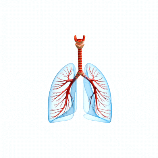 Pulmonary Alveolar Proteinosis (PAP)