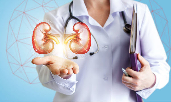 Nephrology Care in Ahmedabad