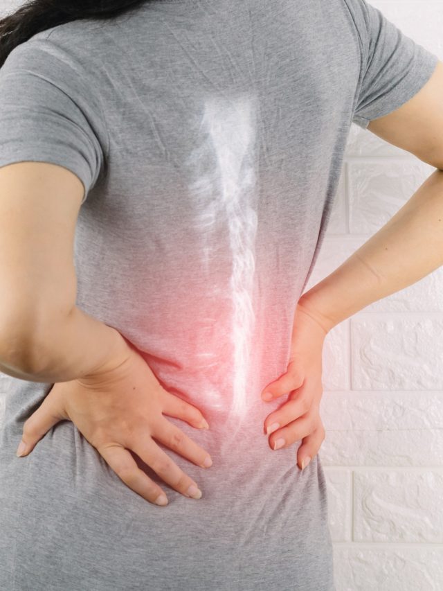 Spine